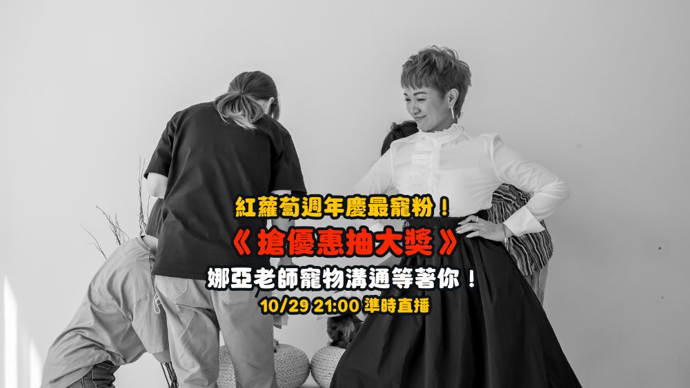 台北 寵物攝影 形象照 寵物溝通娜亞老師 星期四吃紅蘿蔔 寵物攝影