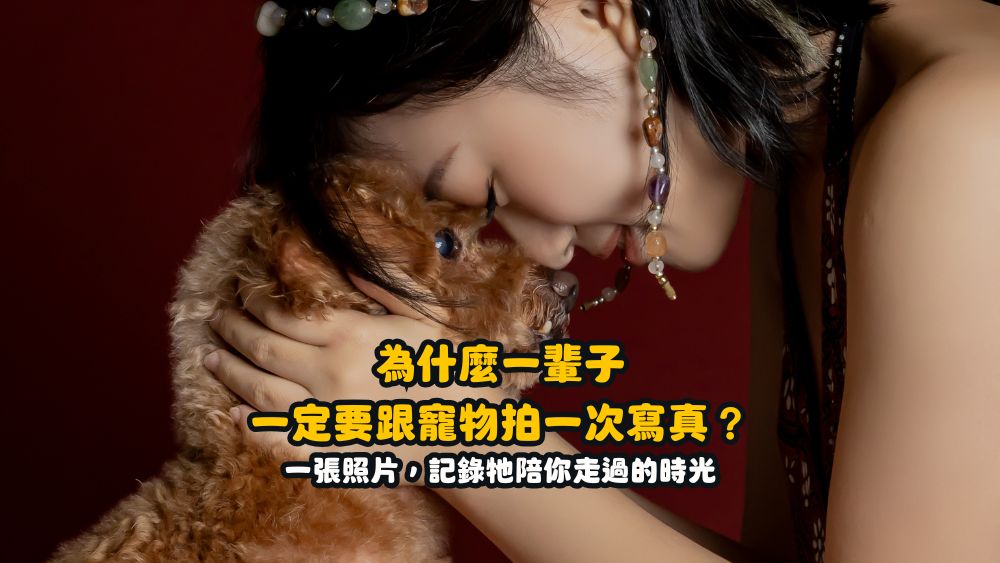 台北 寵物攝影 一輩子必需和寵物拍一次寫真 星期四吃紅蘿蔔 寵物攝影