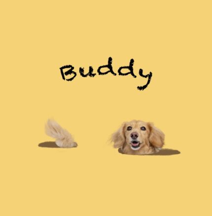 蘿蔔坑系列｜主題方案